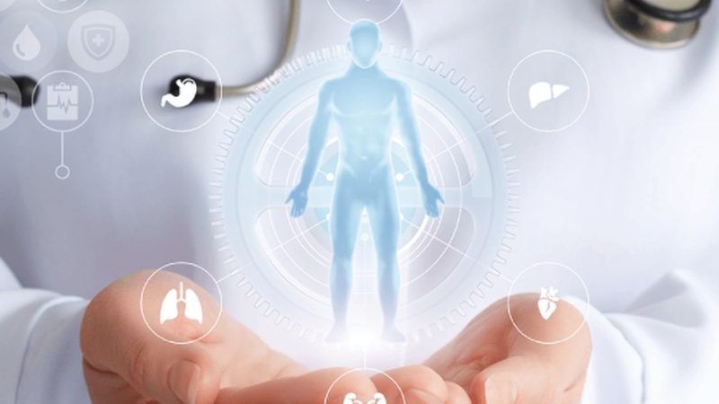 肠胃保养调理周期：科学规划，健康同行**
